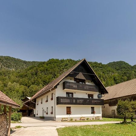 Apartmaji Rupnik 보닌스카비스트리카 외부 사진