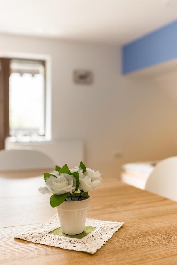 Apartmaji Rupnik 보닌스카비스트리카 외부 사진