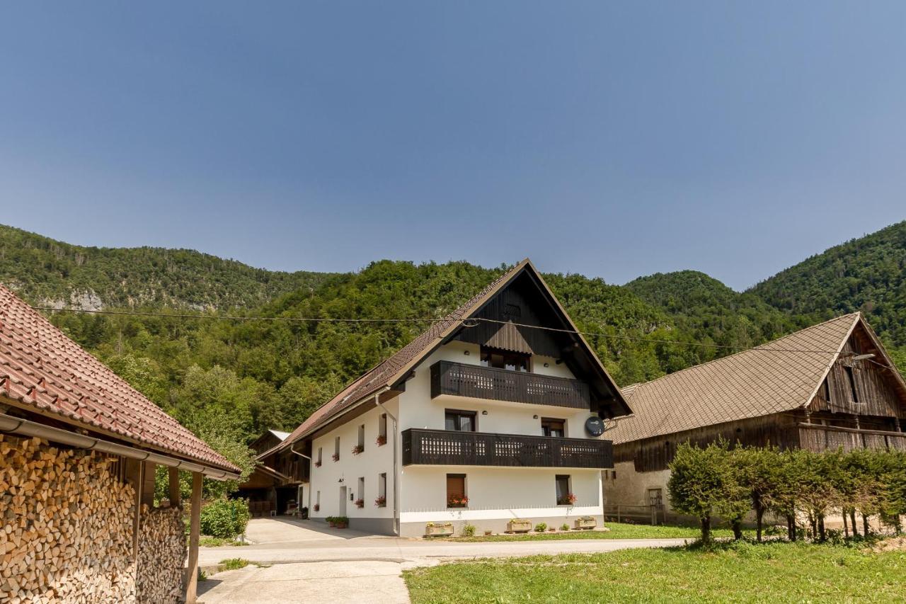 Apartmaji Rupnik 보닌스카비스트리카 외부 사진
